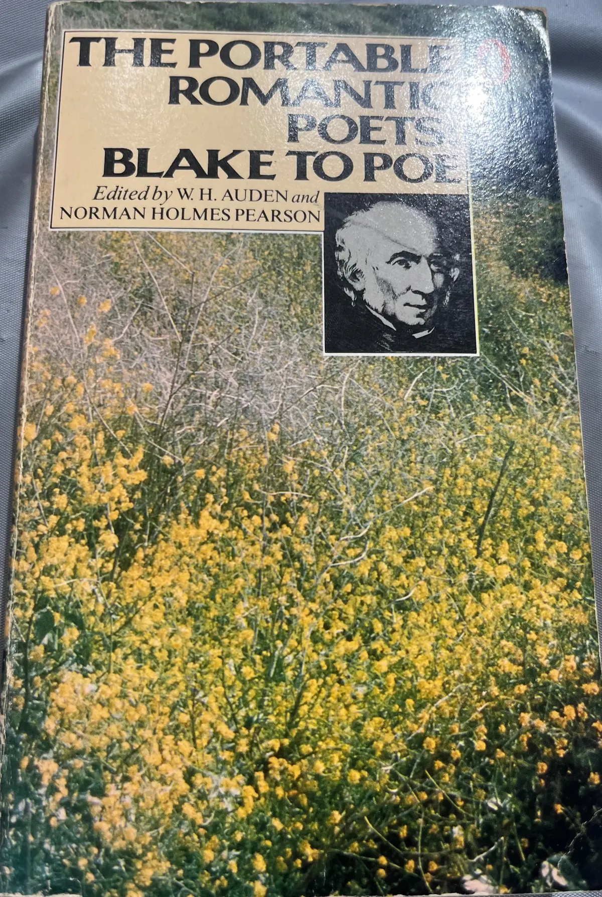 Auden, W. H., & Norman Holmes Pearson (Ed.): The Portable Romantic Poets: Blake To Poe [Used Paperback] 1