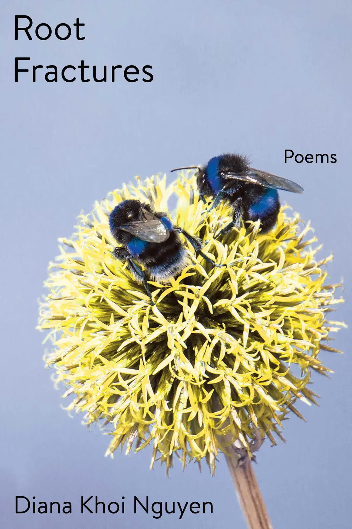 Nguyen, Diana Khoi: Root Fractures: Poems 1