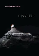 Bitsui, Sherwin: Dissolve 1