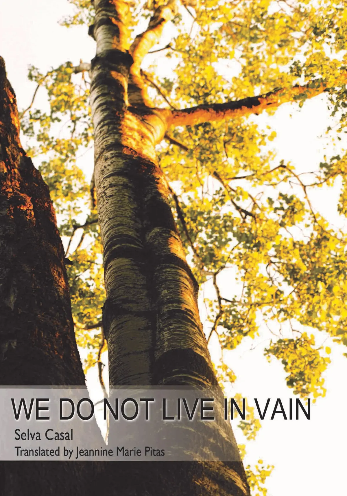 Casal, Selva: We Do Not Live In Vain 1