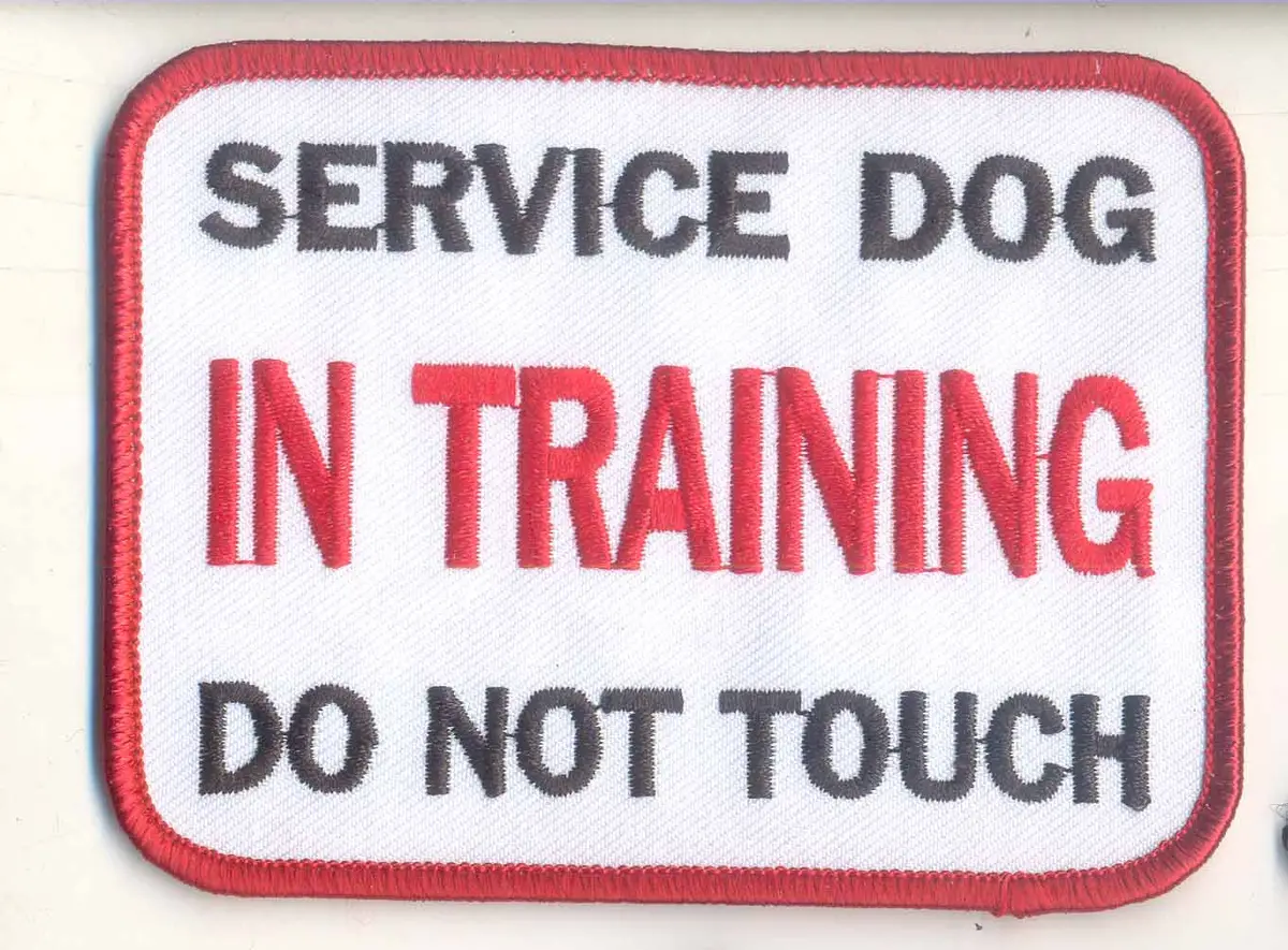 Service Dog In Training Patch Patch 1