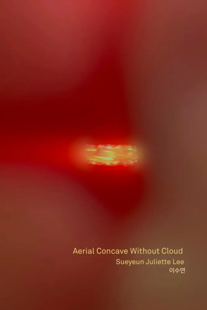 Lee, Sueyeun Juliette: Aerial Concave Without Cloud 1