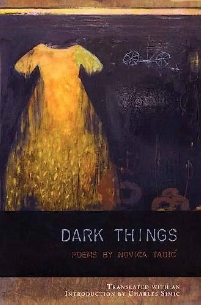 Tadić, Novica: Dark Things [Used Paperback] 1
