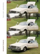Johnson, Taylor: Inheritance 1