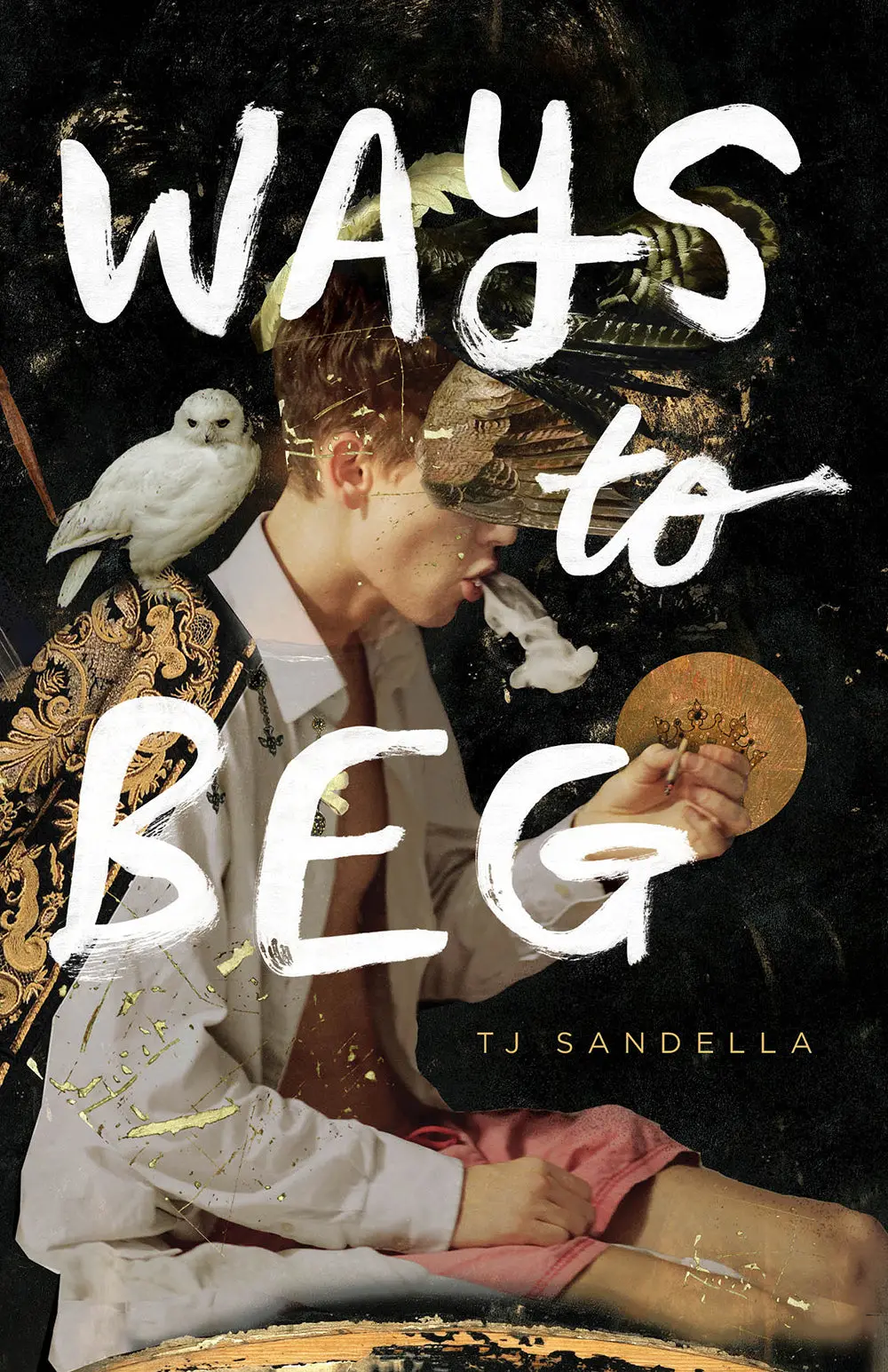 Sandella, T.J.: Ways To Beg 1