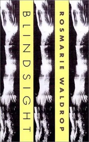 Waldrop, Rosmarie: Blindsight 1
