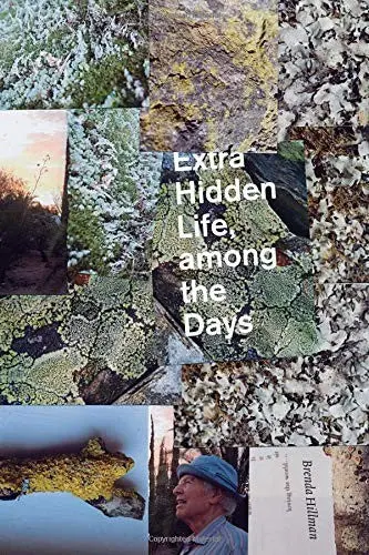 Hillman, Brenda: Extra Hidden Life, Among The Days 1