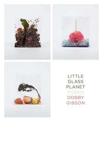 Gibson, Dobby: Little Glass Planet 1