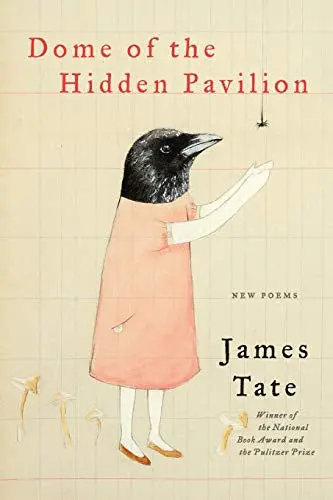 Tate, James: Dome Of The Hidden Pavilion 1