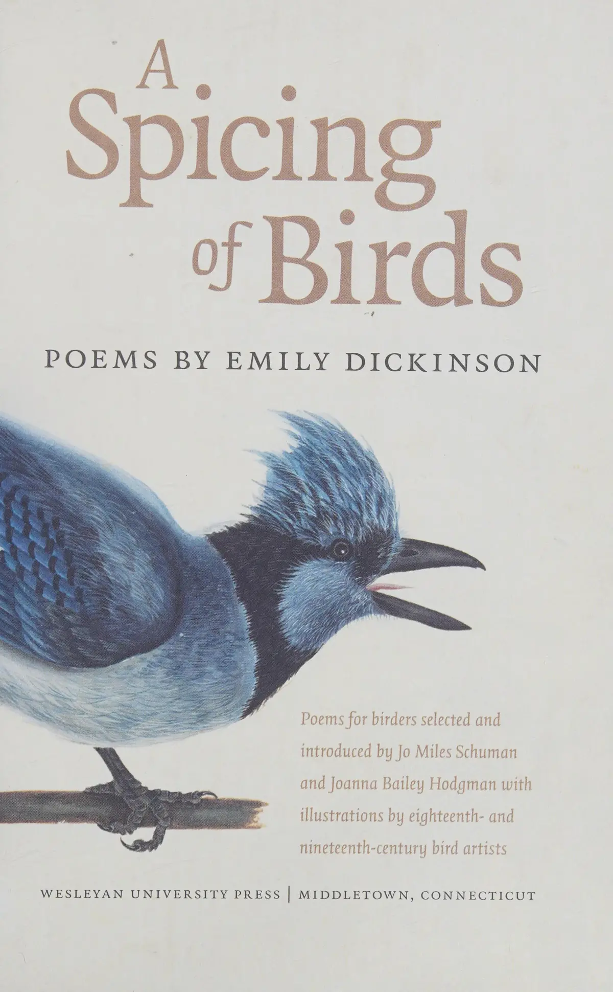 Dickinson, Emily: A Spicing Of Birds: Dickinson's Bird Poems (Hc) 1