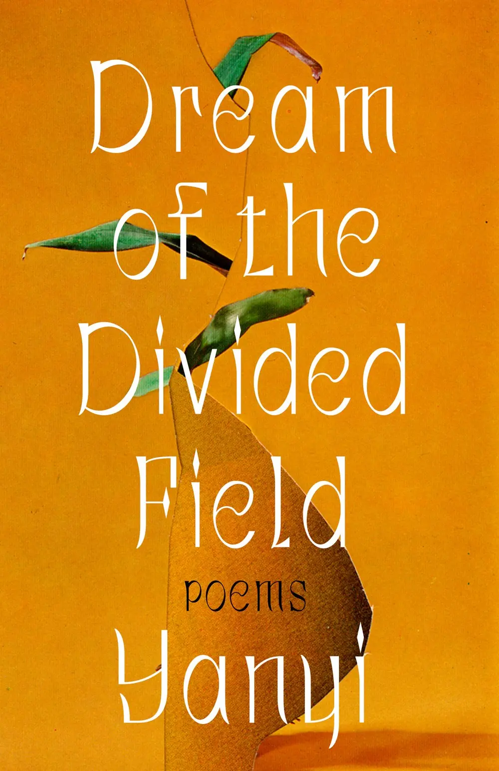 Yanyi: Dream Of The Divided Field 1