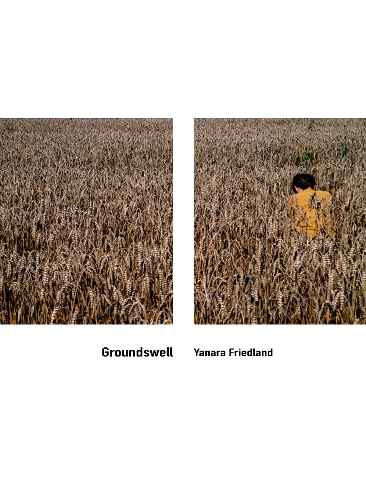 Friedland, Yanara: Groundswell 1