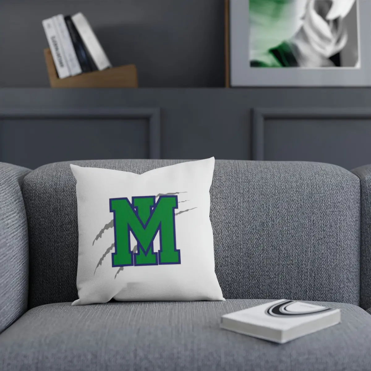 Mountain Island Charter School Cushion 1