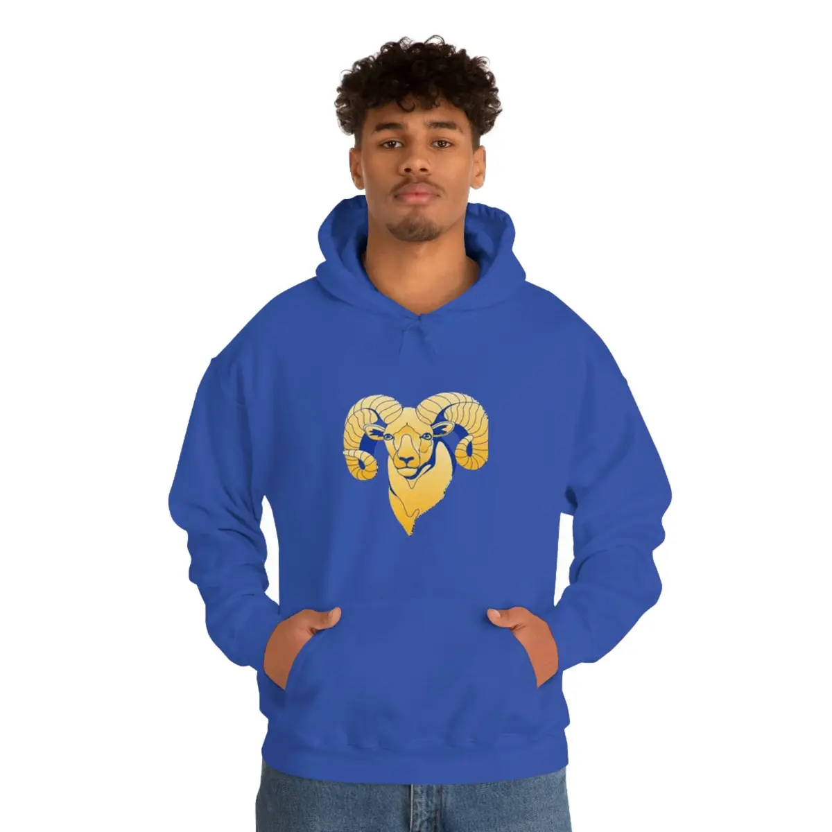 Highland Tech Unisex Heavy Blend™ Hooded Sweatshirt 1
